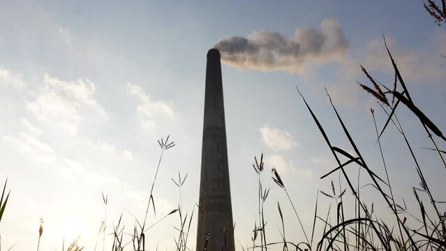 Brick kilns are emitting black smoke and causing air pollution. Brickfields emit polluting fumes or hazardous gases such as CO2, CO, NOX, NO and SO2. 