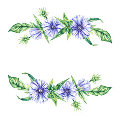 Hand drawn watercolor flowers plants chicory Wreath