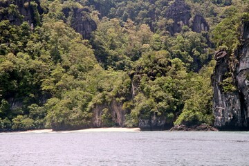 Sheer cliffs overgrown with trees and a small cozy section of sandy shore.