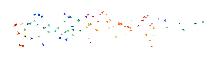 A flock of colored birds. hand drawing. Not AI, Vector illustration