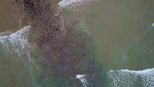 Top-down aerial Slow pan from bottom to top Aerial Video Pacific Coast Shores