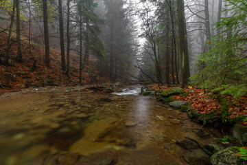 Ponikly waterfall with flood water after night rain in autumn morning