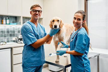 Animals for examination and treatment in the veterinary clinic
