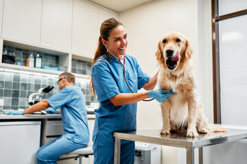 Animals for examination and treatment in the veterinary clinic