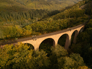 Fototapeta na wymiar Wald Landschaft mit Brücke von oben im Herbst