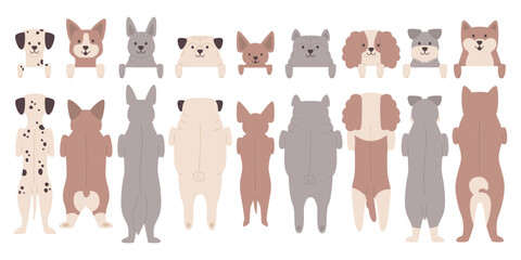 Cute dogs peeking out standing in row front and back view isolated set vector illustration - obrazy, fototapety, plakaty