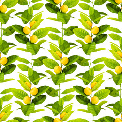 Seamless pattern of lemon leaves and fruit.
