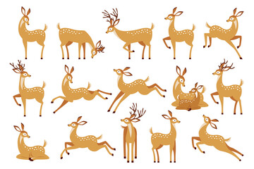 Cartoon deer wild animal forest fauna standing, jumping and grazing set isolated on white background - obrazy, fototapety, plakaty