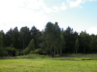 Green field landscape. Kashubia region of Poland