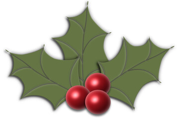 Holly with leaves and red berries. Christmas decoration - decoration - corner - vector design for the Christmas holidays - ideal for greeting cards and e-mail
