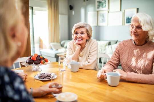 Senior Friends Enjoying a Conversation at Home
