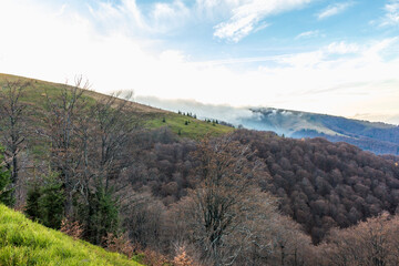 Fototapeta premium autumn landscape in the Carpathians