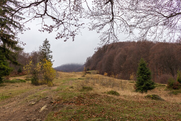 autumn landscape in the Carpathians