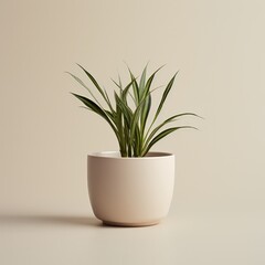 Minimalist image of a spider plant in a smooth, beige ceramic pot against a neutral background