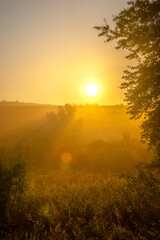 Golden sun rising . Summer morning . Landscape with sun and fog . Golden and red sun rise over the...