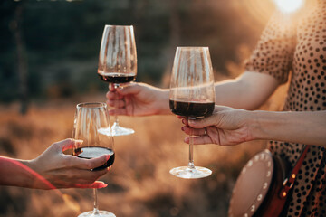 Friends clinking glasses with wine during picnic - obrazy, fototapety, plakaty