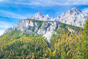 Cristallo Massif in the italian dolomites with golden larch forest