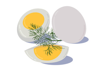 Hard boiled sliced broken egg with dill twig flat style with shadow isolated on white background.