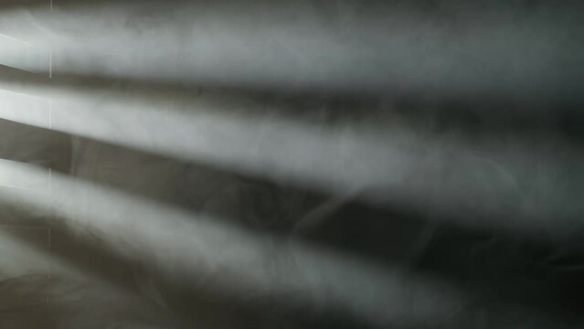 Rays of light from a spotlight through window sashes illuminate thick, dense smoke or fog on a black background close up. Abstract background of smoke and fog.
