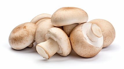 Fototapeta premium porcini mushrooms on a white background.