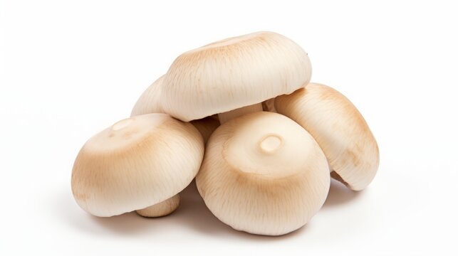 porcini mushrooms on a white background.