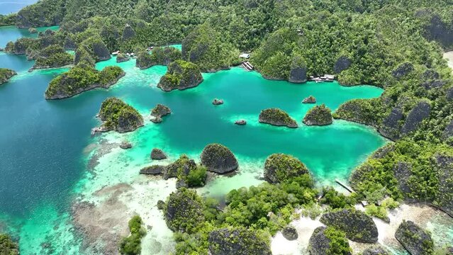 The incredibly scenic islands of Penemu are surrounded by beautiful coral reefs. These islands, found in northern Raja Ampat, support an amazing array of biodiversity.