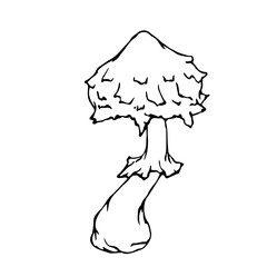 Line sketch, doodles of forest mushroom, toadstool, fly agaric. Vector graphics.