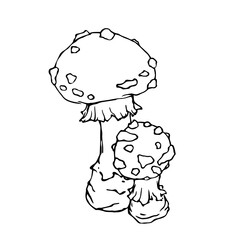 Line sketch, doodles of forest mushroom, toadstool, fly agaric. Vector graphics.