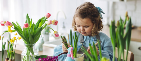 Cute little girl in a pretty blue dress doing home gardening in the kitchen, taking care about flowers and plants. Domestic life, cozy atmosphere, family time, development, hobby, leisure. Banner