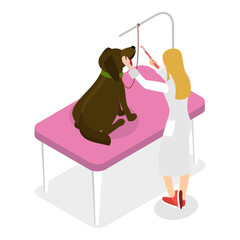 3D Isometric Flat  Illustration of Pet Grooming. Item 4