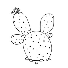 Sketch, doodle of a blooming cactus, succulent. Vector graphics.
