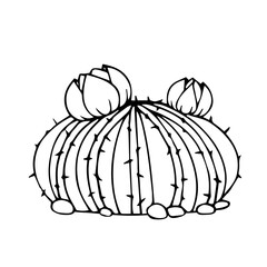 Sketch, doodle of a blooming cactus, succulent. Vector graphics.