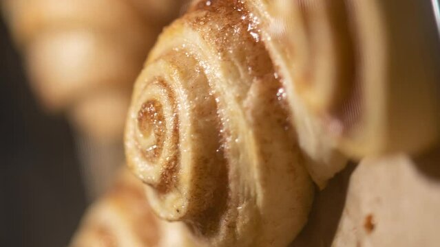 Homemade buns with cinnamon and sugar are baked in the oven (vertical video). Timelapse of baking raw yeast dough until a golden crust is formed. Cooking food, blurry background shallow depth of field