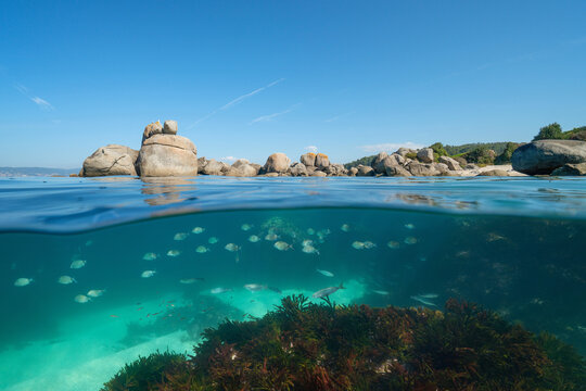 Spain Atlantic ocean seascape, coastline with boulders and fish underwater (seabreams), natural scene, split level view over and under water surface, Galicia, Rias Baixas