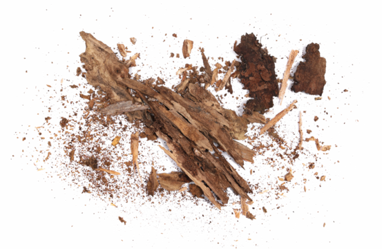 Rotten, old pieces of wood scattered, isolated on white, top view