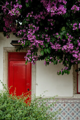 red door and flowers