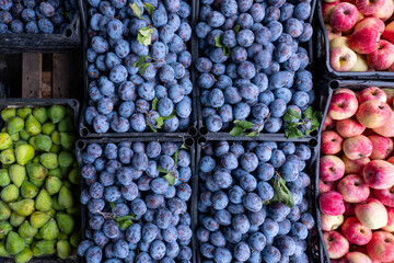 grapes in the market