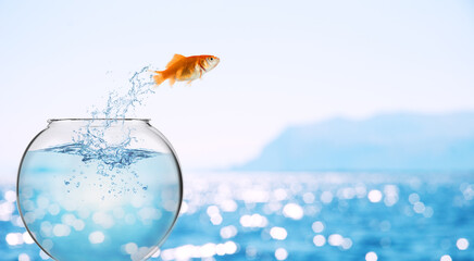 Goldfish leaps out of the aquarium to throw itself into the sea - obrazy, fototapety, plakaty