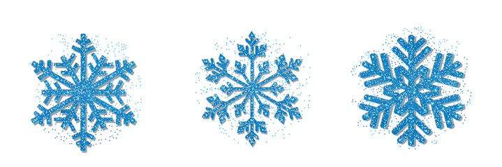 Fototapeta na wymiar Decorative snowflake collection vector illustration