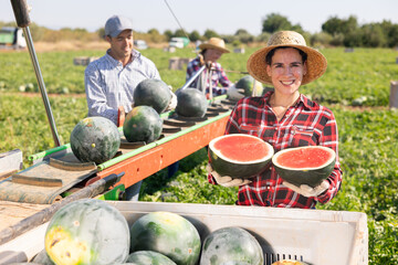 Obraz premium Portrait of female farmer with watermelon in her hands against background of hired workers busy sorting watermelons on a conveyor