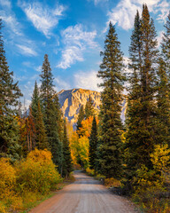 Colorado Tourism Fall Season Forest Road Leads to Mountain. Warm Sunlight Over Pine Trees and Yellow Aspen Trees with Blue Sky and Clouds. - obrazy, fototapety, plakaty