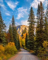 Foto op Canvas Colorado Tourism Fall Season Forest Road Leads to Mountain. Warm Sunlight Over Pine Trees and Yellow Aspen Trees with Blue Sky and Clouds. © And They Travel