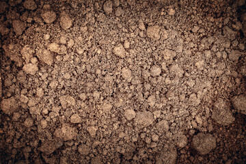 photo of the soil view from the top