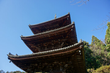 Fototapeta premium 滋賀県 大津市の三井寺の三重塔