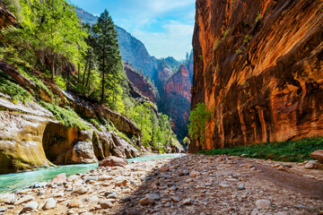 Zion National Park, Utah, USA, narrowing trail. Beautiful scenery, views of incredibly picturesque...