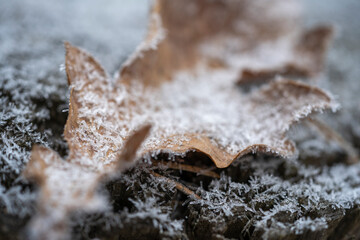 A Close-Up View of Crystals Adorning the Ground, Nature's Icy Masterpiece Unveiled.