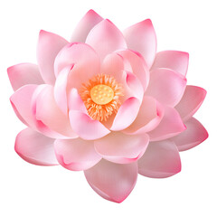 An Isolated Lotus Flower on a Transparent background