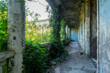 a terrace overgrown with plants with a balustrade in an abandoned building, a former sanatorium - obrazy, fototapety, plakaty
