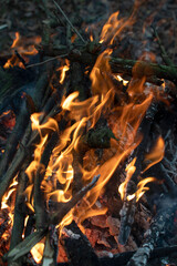Closeup view of a flames of a fire	