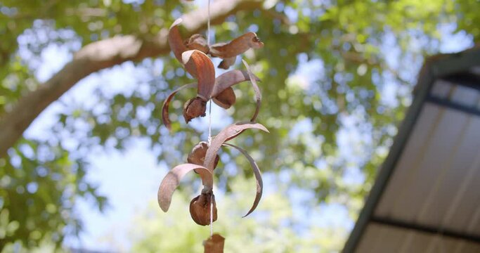 Dipterocarpus alatus flowers that villagers hang to decorate mobiles that is a way of life in rural Asia.